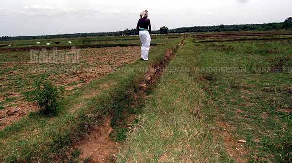 Farmers demand to rehabilitate river and irrigation channels in the irrigation area